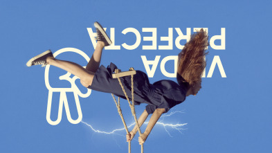 Imagen de (LSE) - Vida perfecta (T2) - 2