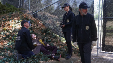 Imagen de NCIS: Naval... (T19): Ep.9 Memoria colectiva - 6