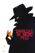 Imagen de Granujas de medio pelo - 1