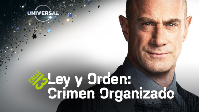 Ley y orden: Crimen organizado (T2)