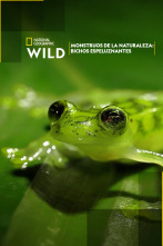 Imagen de Monstruos de la naturaleza: bichos espeluznantes - 1