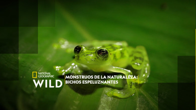 Imagen de Monstruos de la naturaleza: bichos espeluznantes - 2