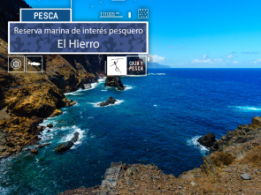 Imagen de Reserva marina de interés pesquero. Isla de El Hierro - 2