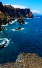 Imagen de Reserva marina de interés pesquero. Isla de El Hierro - 3