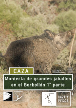 Imagen de Montería de grandes jabalies en El Borbollón. 1ª parte - 1