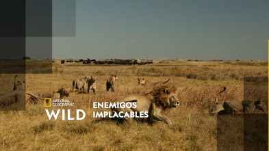 Imagen de Enemigos implacables - 2