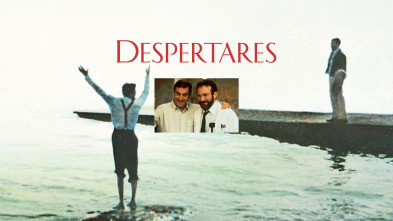 Imagen de Despertares - 2