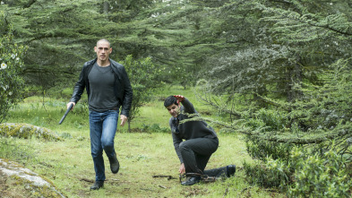 Imagen de Pulsaciones (T1): Ep.8 En búsqueda - 1