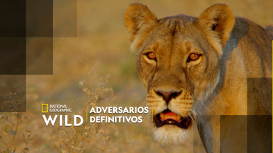Imagen de Adversarios definitivos - 2