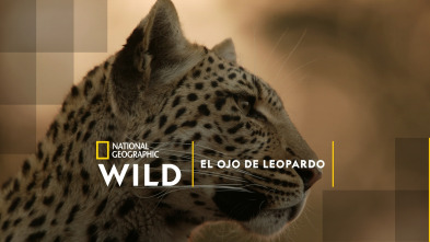 El ojo de leopardo