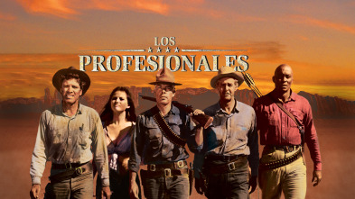 Imagen de Los profesionales - 2