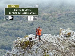 Sierra de Leyre. El reino del jabalí salvaje