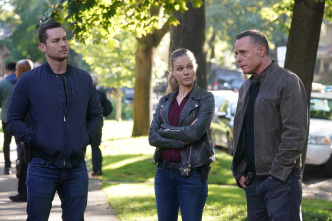 Imagen de Chicago P.D. (T9): Ep.8 Grietas - 1