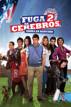 Fuga de cerebros 2