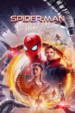 Imagen de (LSE) - Spider-Man: No Way Home - 1