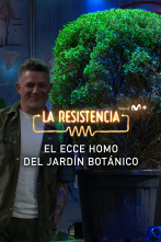 Imagen de Lo + de los... (T5): La 