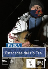 Imagen de Estacadas del río Tea - 1