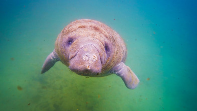 Salvar el paraíso: El archipiélago salvaje de las Bissagos