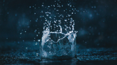 Imagen de La importancia de la lluvia  - 4