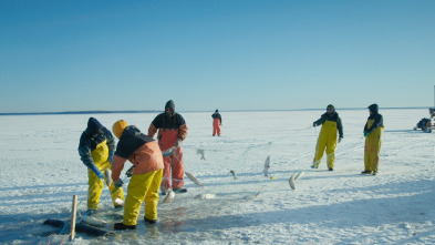 Vikingos del hielo: Hielo resplandeciente