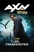 Imagen de Yo, Frankenstein - 1