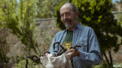 Imagen de (LSE) - Sentimos... (T1): Ep.4  - 2