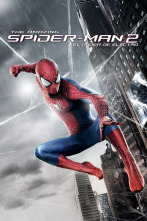 Imagen de The Amazing Spider-Man 2: El poder de Electro - 1