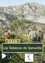 Los rebecos de Semuñon