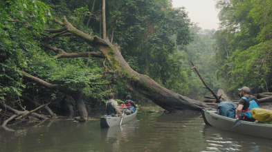 Imagen de Mundos inexplorados...: Gabón: expedición al paraíso selvático - 3