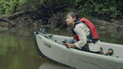 Imagen de Mundos inexplorados...: Gabón: expedición al paraíso selvático - 4