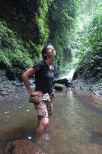 Imagen de Mundos inexplorados...: Gabón: expedición al paraíso selvático - 7