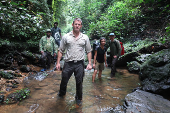 Imagen de Mundos inexplorados...: Gabón: expedición al paraíso selvático - 8