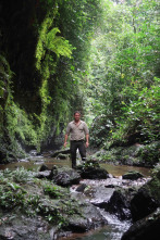 Mundos inexplorados...: Gabón: expedición al paraíso selvático