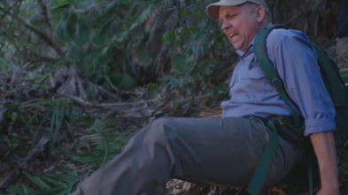 Imagen de ¿Qué bicho me ha picado?: ¡Esto no es un ciervo! - 2