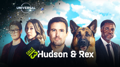 Hudson y Rex (T4)