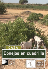 Conejos en cuadrilla