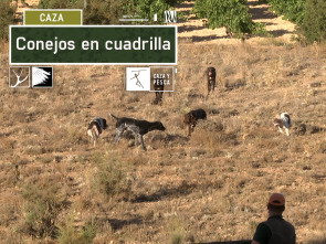 Imagen de Conejos en cuadrilla - 2