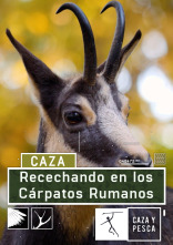 Recechando en los Cárpatos rumanos