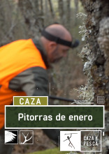 Imagen de Pitorras de enero - 1