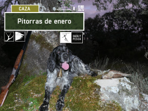 Imagen de Pitorras de enero - 2