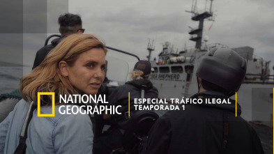 Imagen de Especial Tráfico Ilegal  - 2