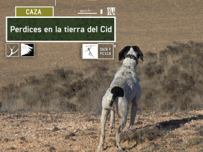 Imagen de Perdices en la tierra del Cid - 2