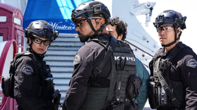 Imagen de S.W.A.T.: Los... (T5): Ep.22 Despedida - 2