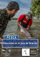 Imagen de Esturiones en el país de Drácula - 1