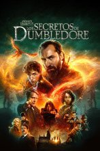 Imagen de Animales fantásticos: Los secretos de Dumbledore - 3