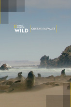 Imagen de Costas Salvajes - 1
