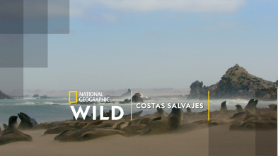 Imagen de Costas Salvajes - 7