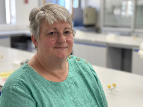 Imagen de Chernóbil desclasificado  - 5