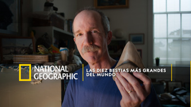 Imagen de Las diez bestias más grandes del mundo - 2