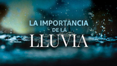 Imagen de La importancia de la lluvia  - 2